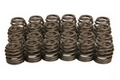 Beehive Valve Springs